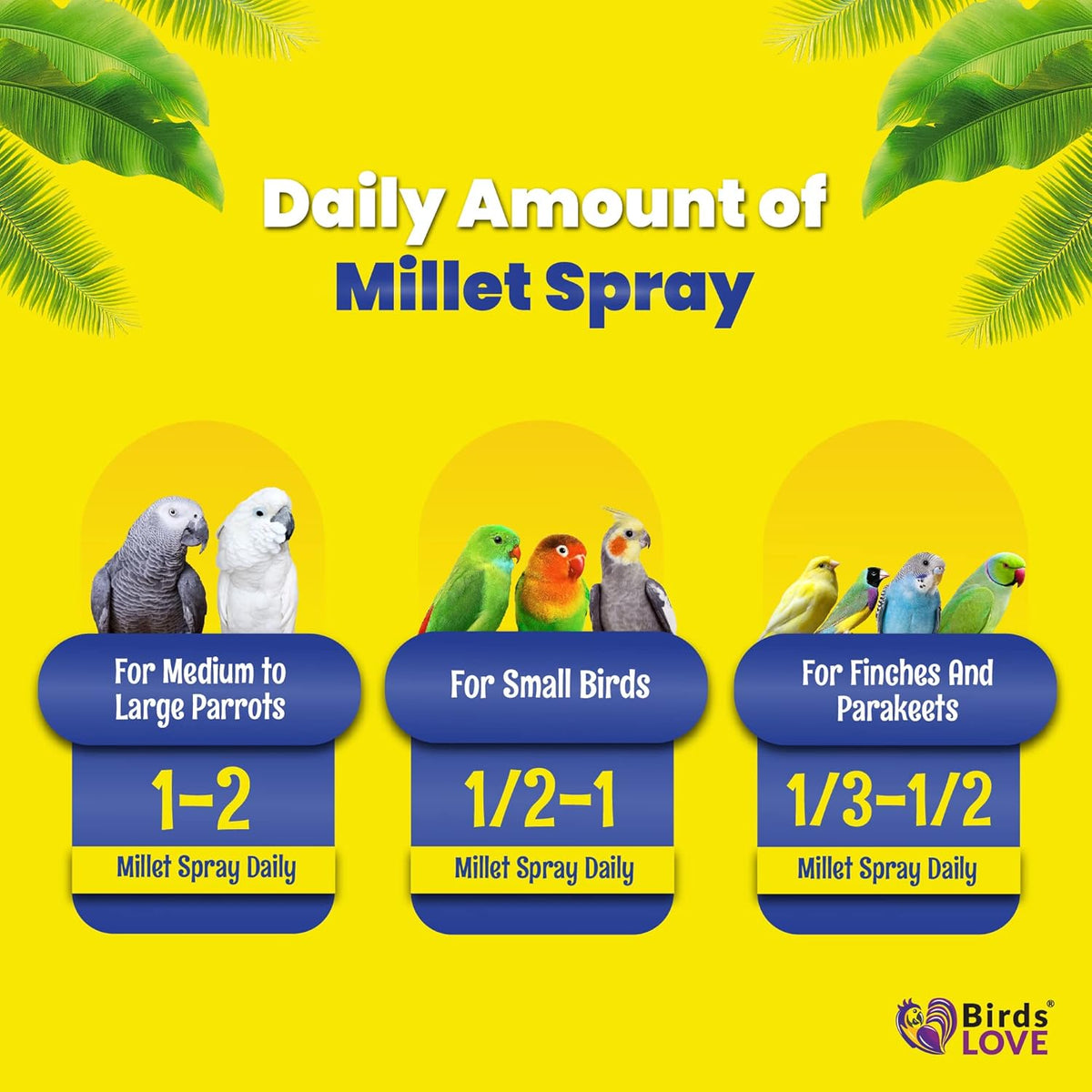 Birds LOVE Economy & Thin Special Spray Millet GMO-Free (No Stems Only Edible Tops) for Birds