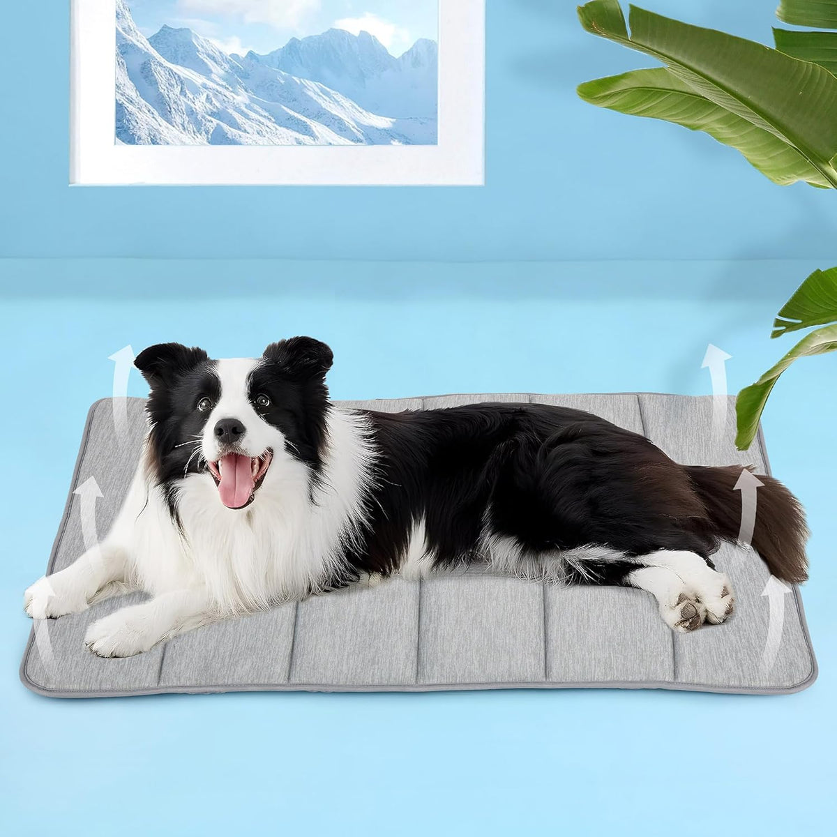 Dog Cooling Mat for Large Dogs - 35x23 Orthopedic Memory Foam Pet Pad for Summer, QMAX>0.5