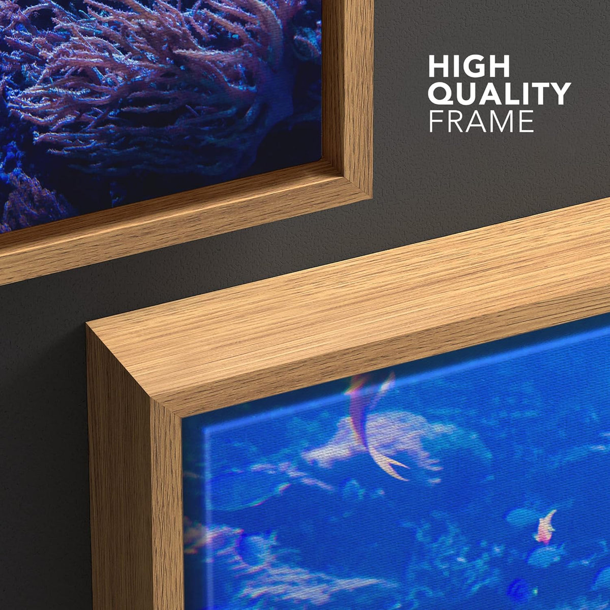 wall26 Framed Canvas Print Wall Art Purple Blue Vibrant Anemone Coral Reef Fish Nature Animals