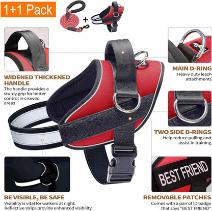 Haapaw Essential Dog Harness, No Pull Pet Vest with 3 Leash Clips, No Choke, Reflective, Adjustable