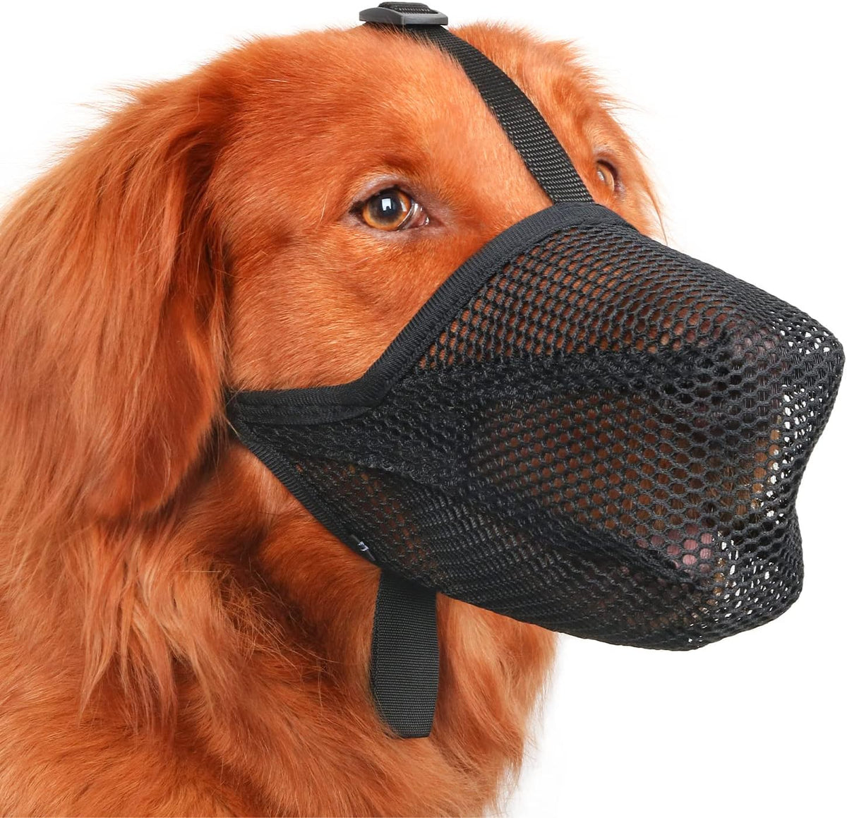 Mayerzon Dog Muzzle, Patented Soft Mesh Muzzle for Small Medium Large Dogs for Scavenging Biting