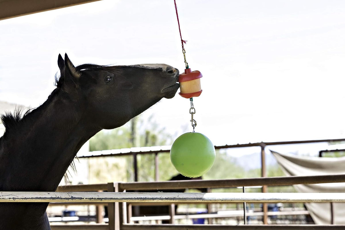 Horsemen's Pride Combo Horse Stall Toy: Apple Scented Jolly Ball and Apple Flavored Snack Holder