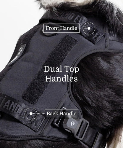 2025 New Edition, Fei & Eve MagEase Dog Harness - 3-Second Magnetic Buckles | 3-Point No-Pull