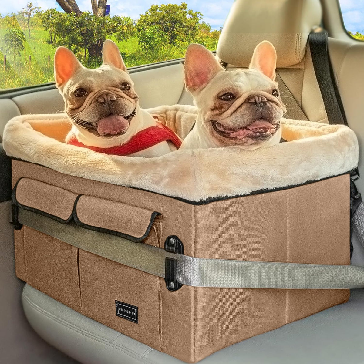 Petsfit Dog Booster Car Seat for Medium Dog or 2 Small Dogs with Patent Buckles, Washable Pad