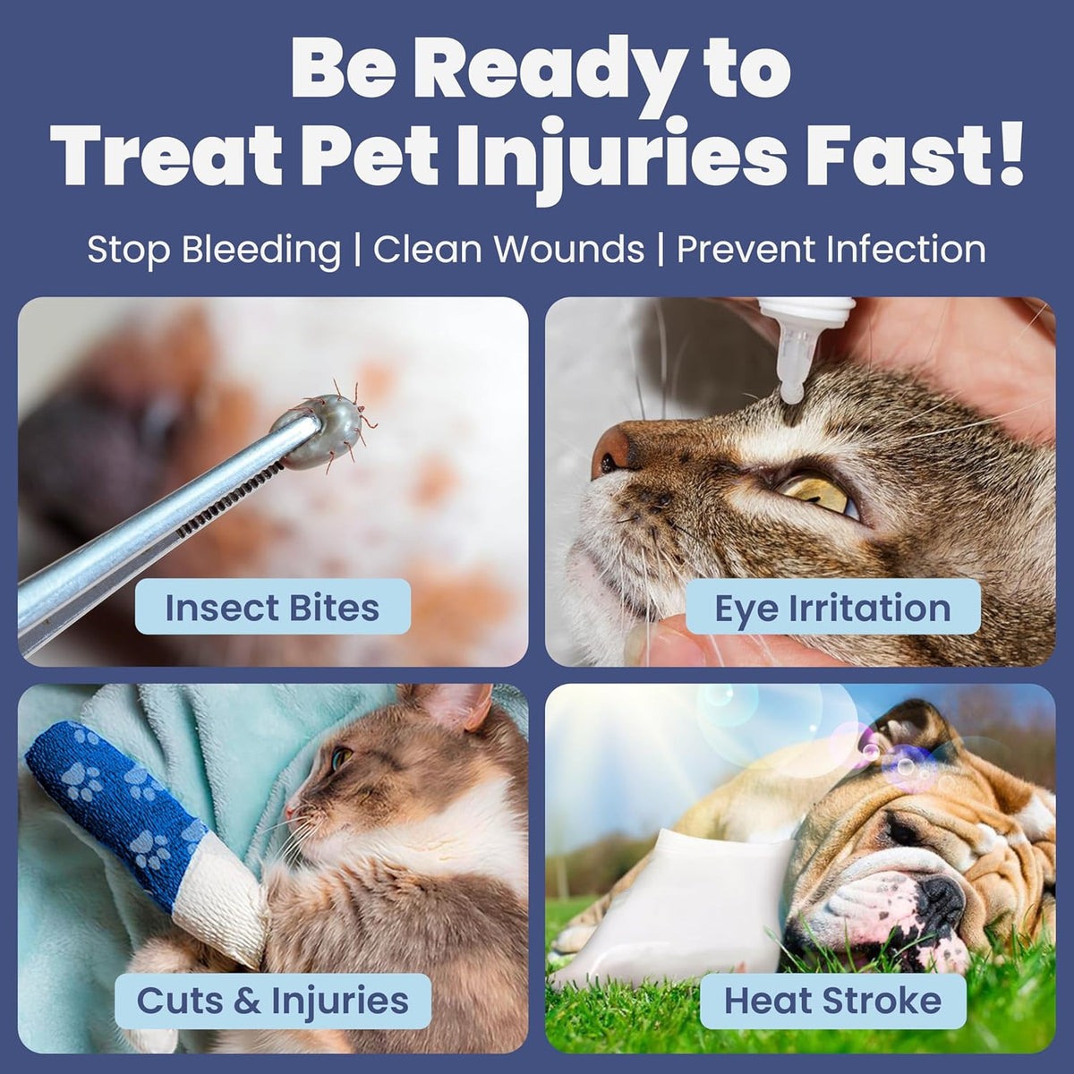 Dog First Aid Kit for Hiking & Travel - Vet Approved Emergency Supplies - Pet First Aid Kit Guide