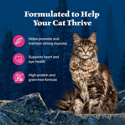 Blue Buffalo Wilderness Wild Delights Meaty Morsels Natural Wet Cat Food, Chicken & Salmon in Tasty