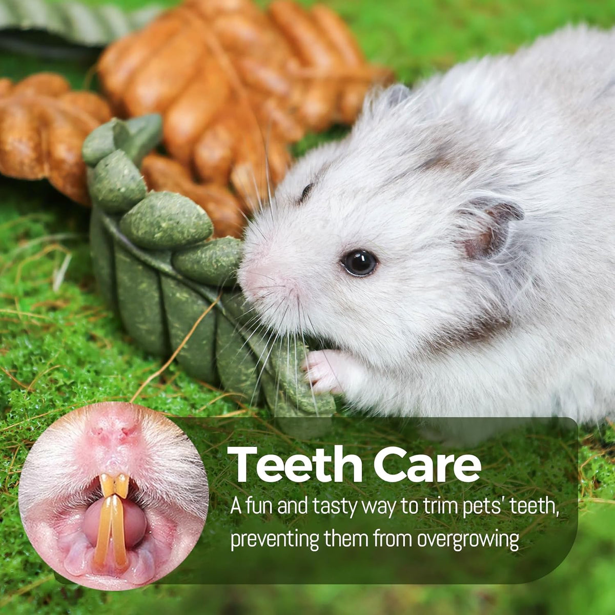TEEWY 6PCS Hamster Chew Toys, Guinea Pig Chew Toys for Teeth with Natural Vegetables and Timothy
