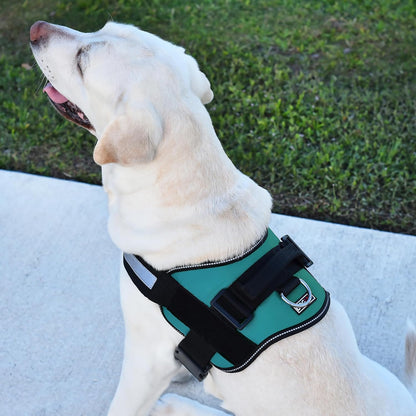 Dogline Dog Harness, Reflective No-Pull Adjustable Vest with Handle for Walking, Training
