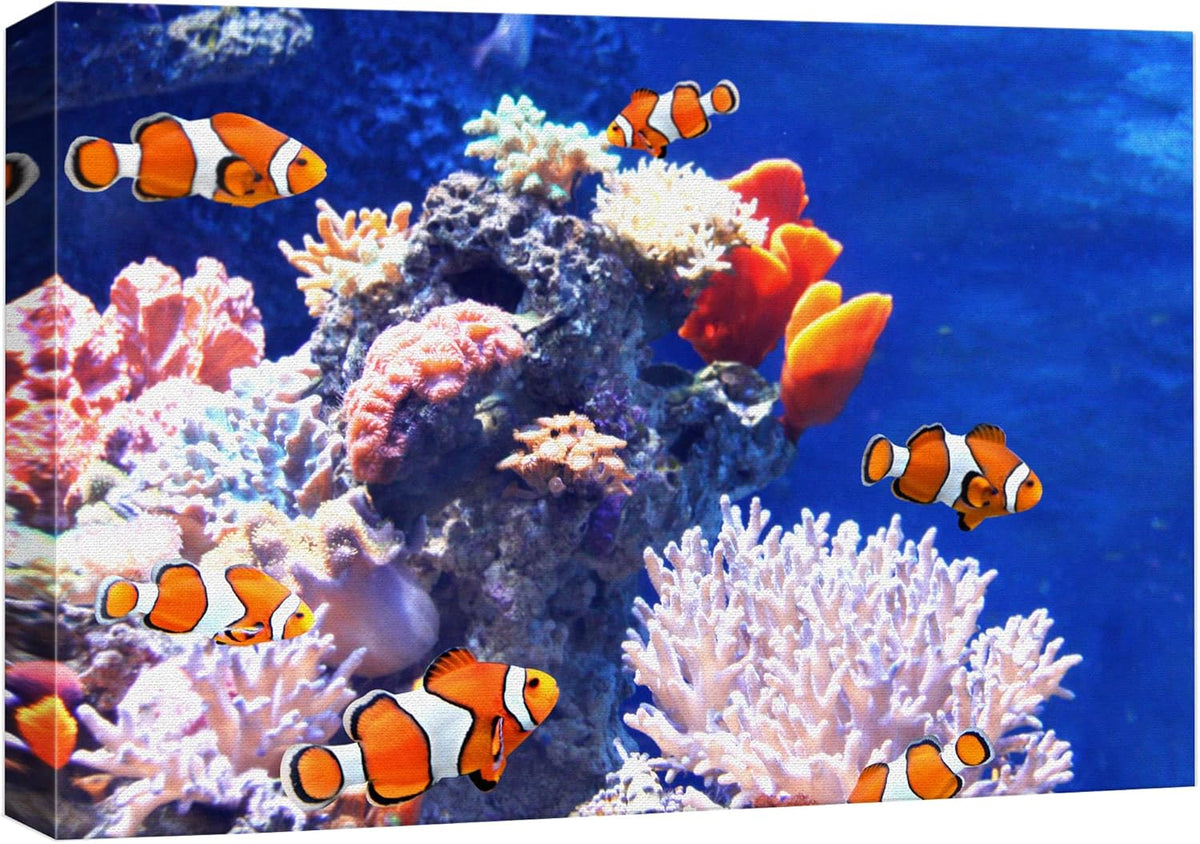wall26 Canvas Print Wall Art Clownfish Underwater Tropical Coral Reef Nature Animals Photography