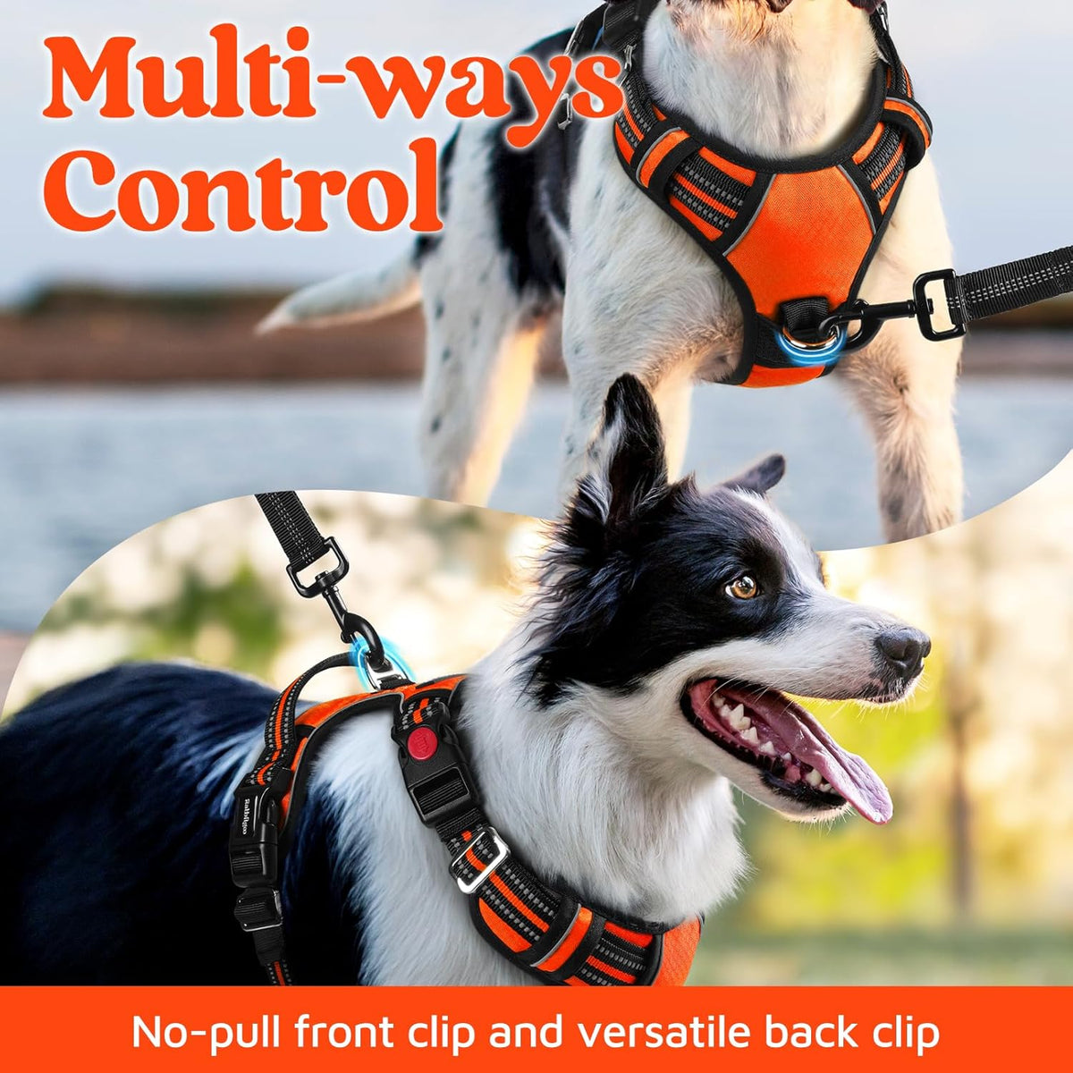 rabbitgoo Dog Harness for Large Dogs, No Pull Pet Vest with 3 Buckles, Adjustable Soft Padded Pet