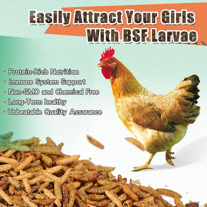 Dried Black Soldier Fly Larvae 20LBS, 85X More Calcium Than Mealworms High-Protein BSF Larvae