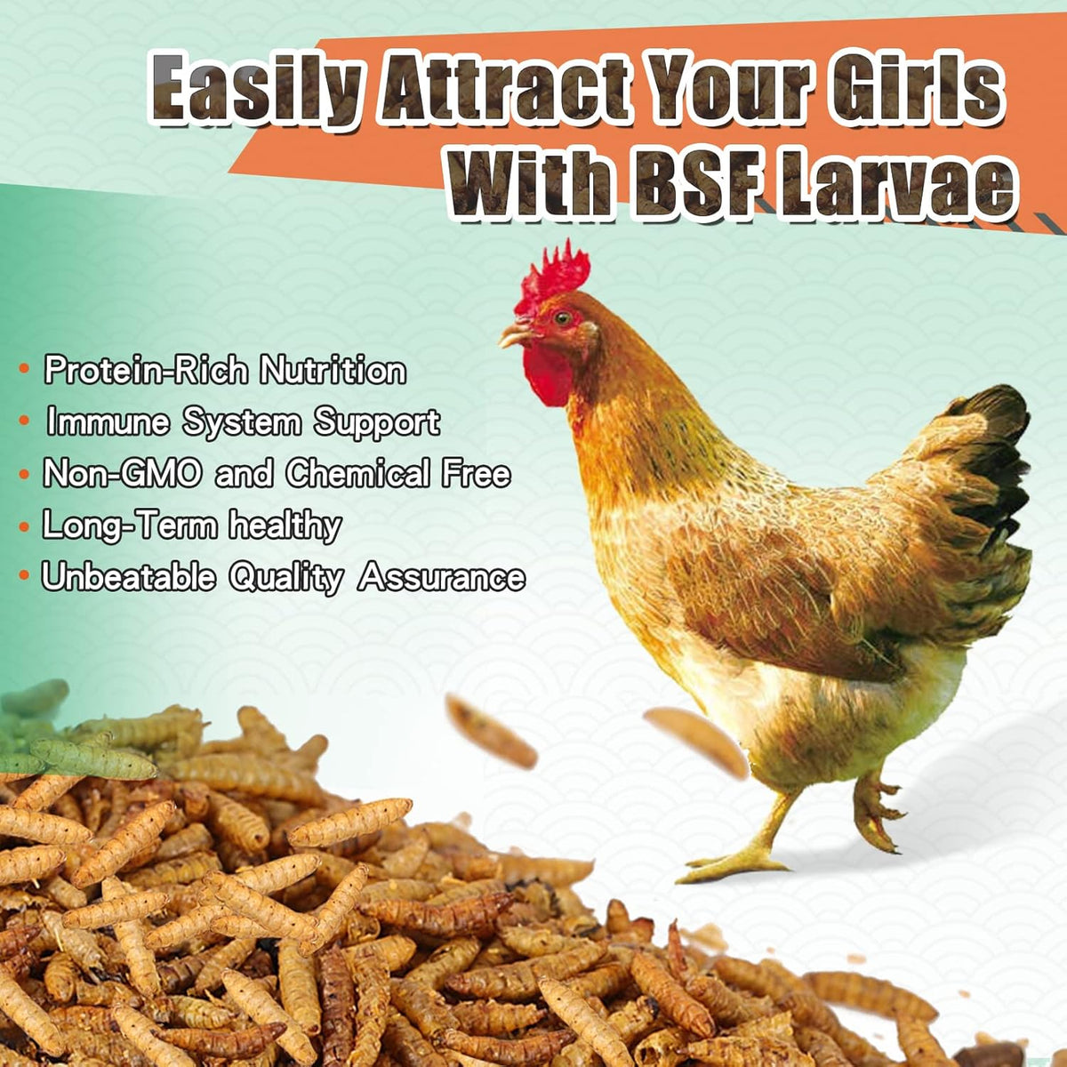 Dried Black Solidier Fly Larvae 11LBS, 85X More Calcium Than Mealworms High-Protein BSF Larvae