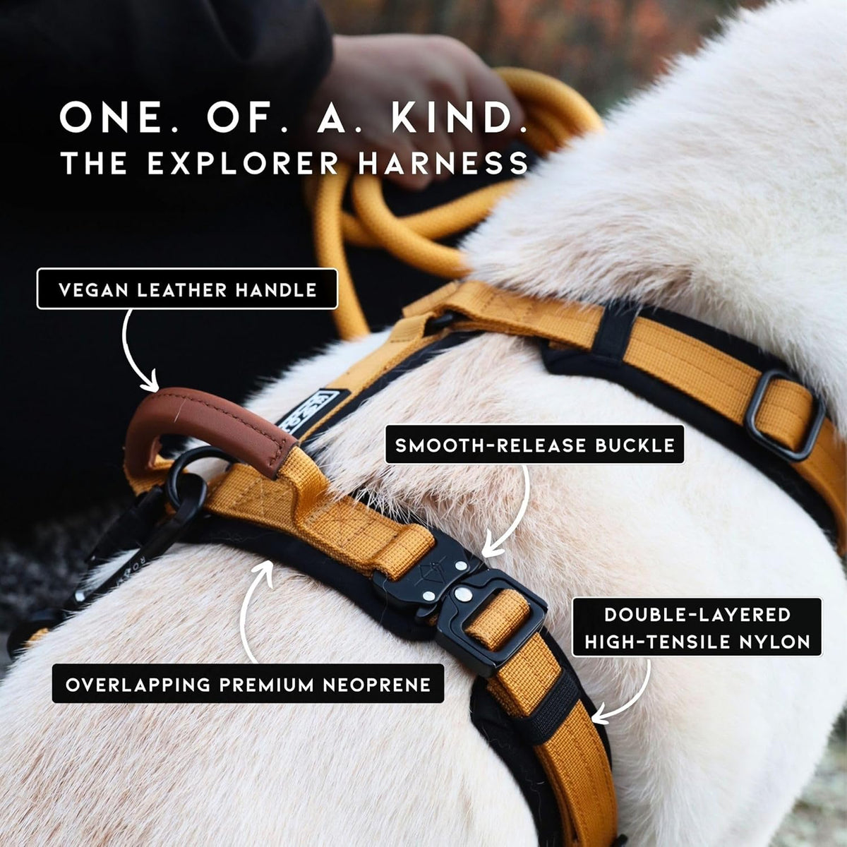 MADE TO ROAM Premium Explorer Harness - Y-Shaped Dog Harness with Adjustable Durable Nylon, Soft