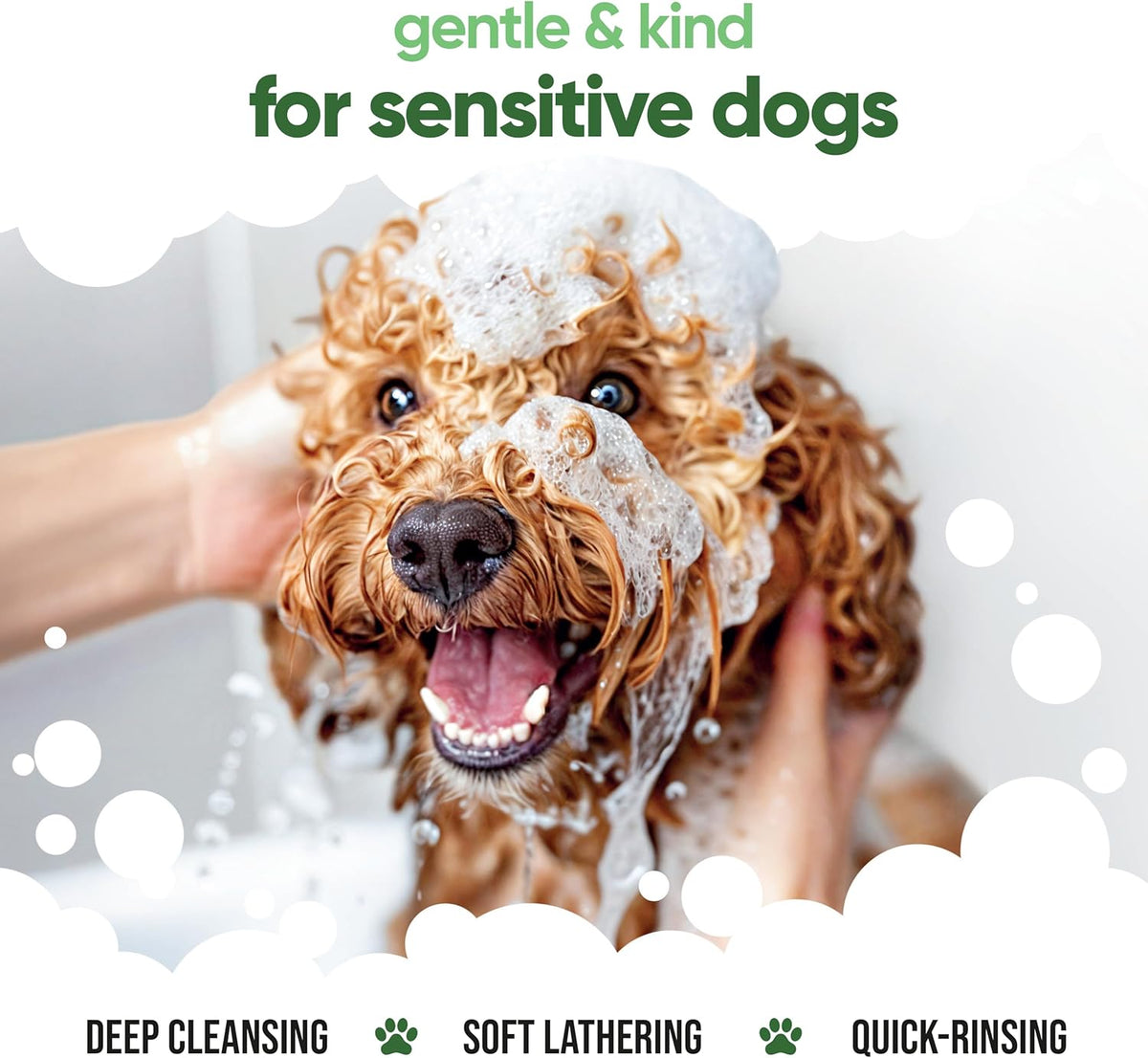 Shed Control Dog Shampoo by Buddycare | Aloe & Lemongrass Scented | with Aloe Vera and Pro Vitamin