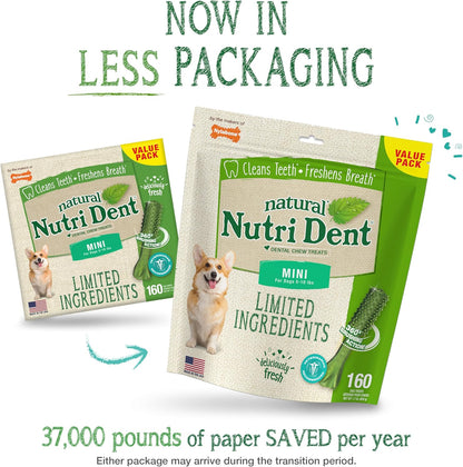 Nylabone Nutri Dent Dog Dental Chews - Natural Dog Teeth Cleaning & Breath Freshener - Dental