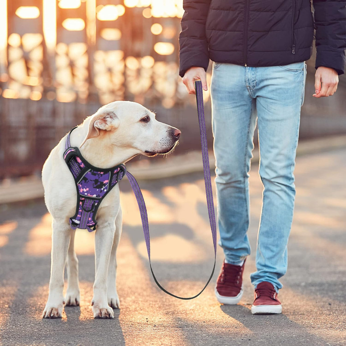 No Pull Dog Harness for Small Dogs, Adjustable No Choke Pet Vest with Dog Leash Fit Smart