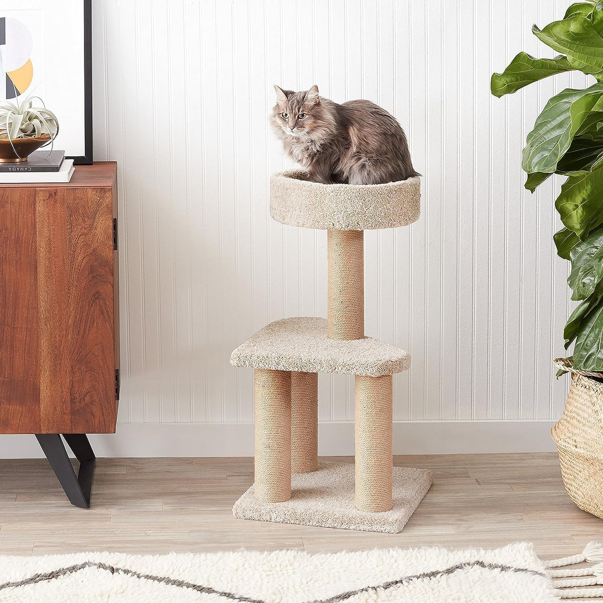 Amazon Basics Cat Tree - Indoor Cat & Kittens Multi-Level Climbing Activity Tower with Scratching