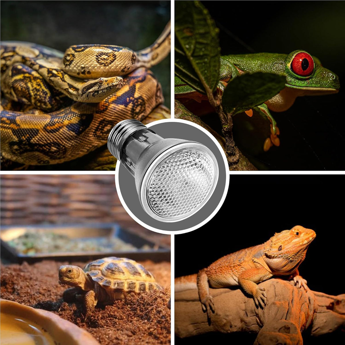 Reptile Heat Bulb 2 Pack, 75W UVA Reptile Light Bulbs, Dimmable Heat Lamp Bulbs Basking Spot Light