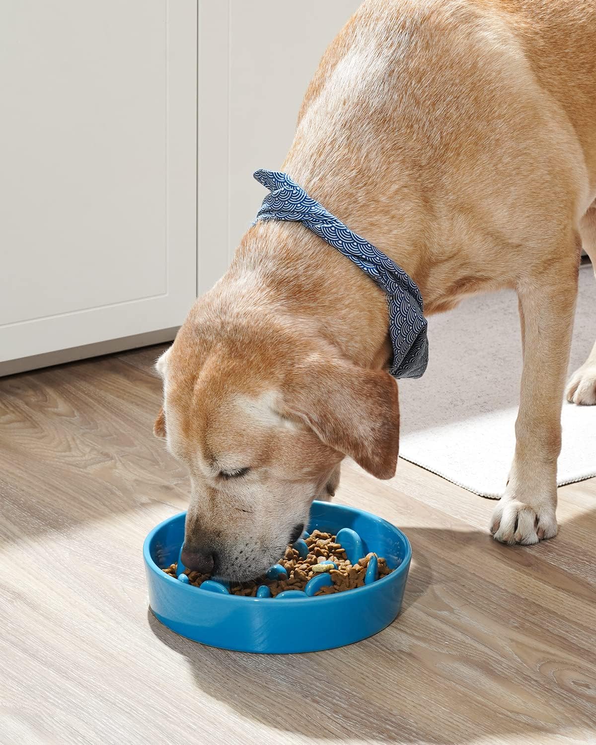 LE TAUCI Slow Feeder Dog Bowls Ceramic, 3 Cups Slow Feeding Dog Bowl Medium Large Breed, Puzzle Pet