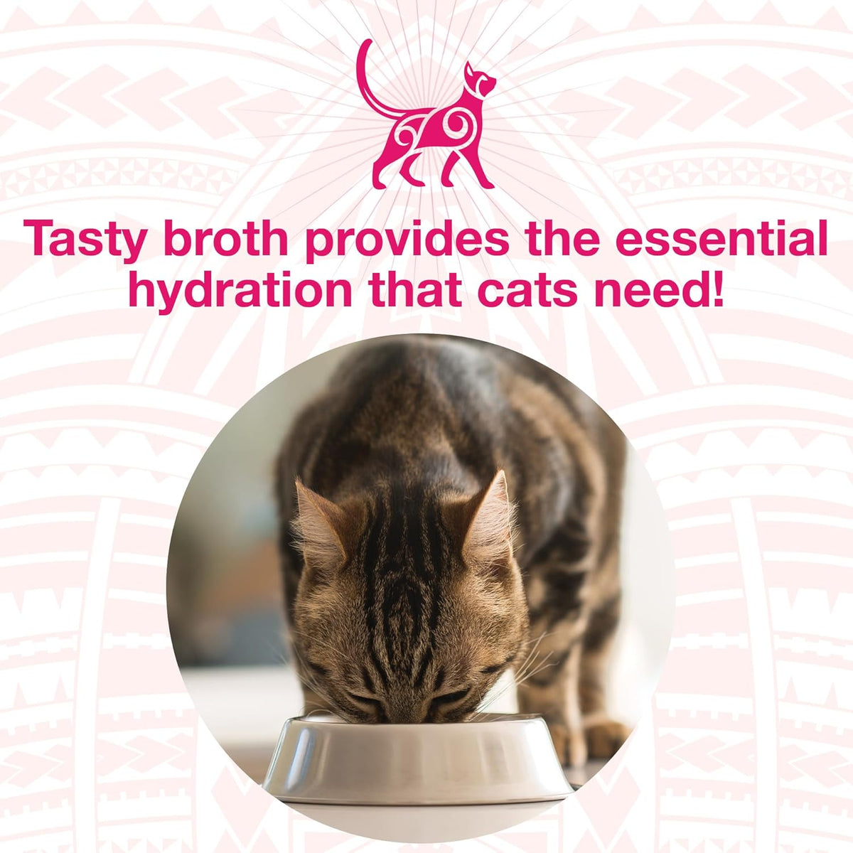 KOHA Pure Shreds Cat Variety Pack, High Protein Wet Cat Food - 5 Flavors - Beef, Duck, Chicken &