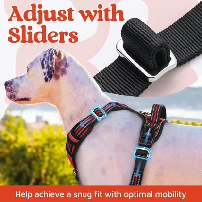 rabbitgoo Dog Harness for Large Dogs, No Pull Pet Vest with 3 Buckles, Adjustable Soft Padded Pet