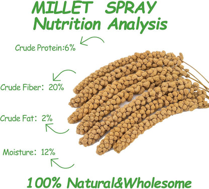 RANZ 5LBS Millet Spray for Birds, GMO-Free, Sun Dried Spray Millet, Original Bird Treats &