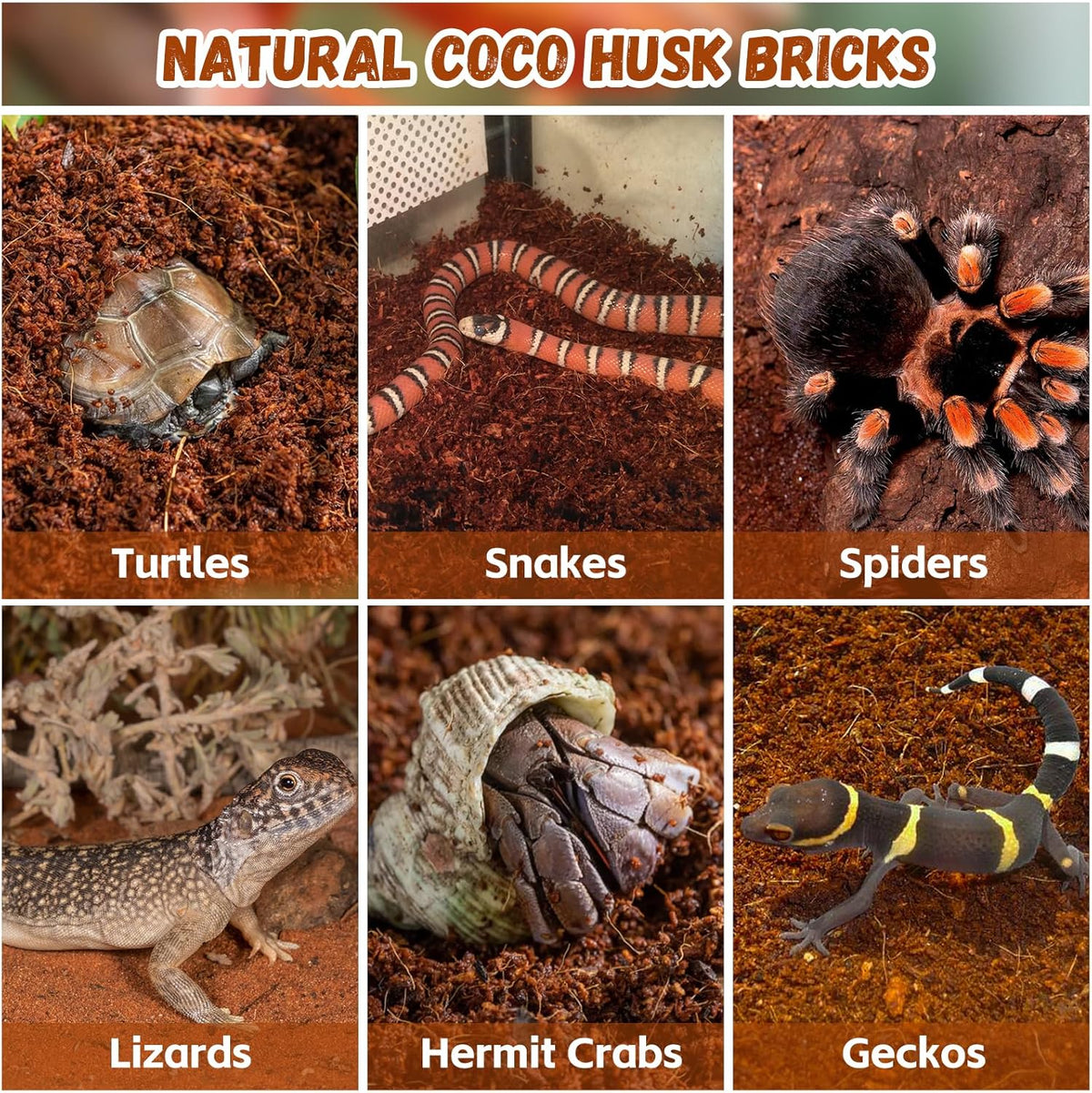 Legigo 6 Pack Compressed Coconut Fiber Substrate - 100% Organic Coconut Fiber Brick Bedding for