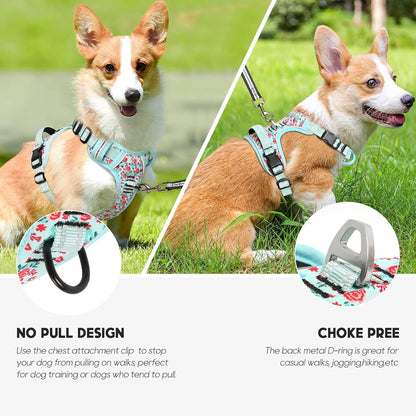 Timos Dog Harness, No-Pull Pet Harness with 2 Leash Clips, 3 Snap Buckles Adjustable Soft Padded