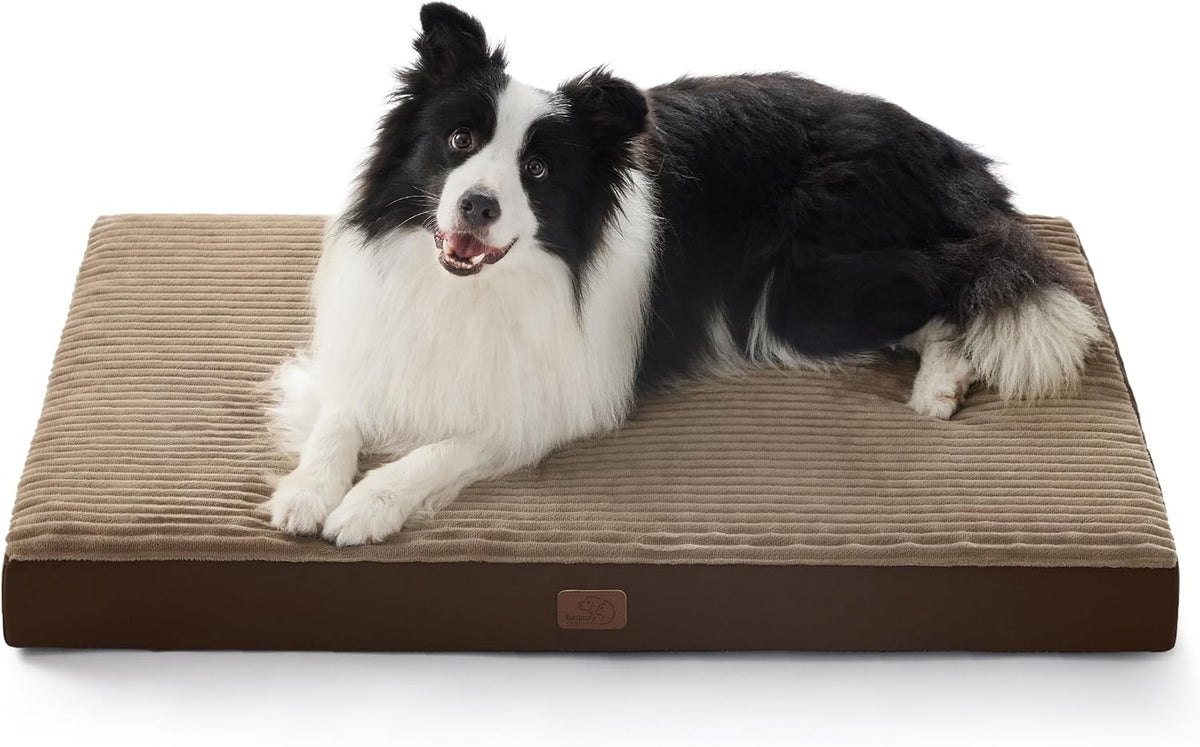 Bedsure XL Dog Bed for Crate - Large Orthopedic Pet Beds with Removable Machine Washable Cover, Egg