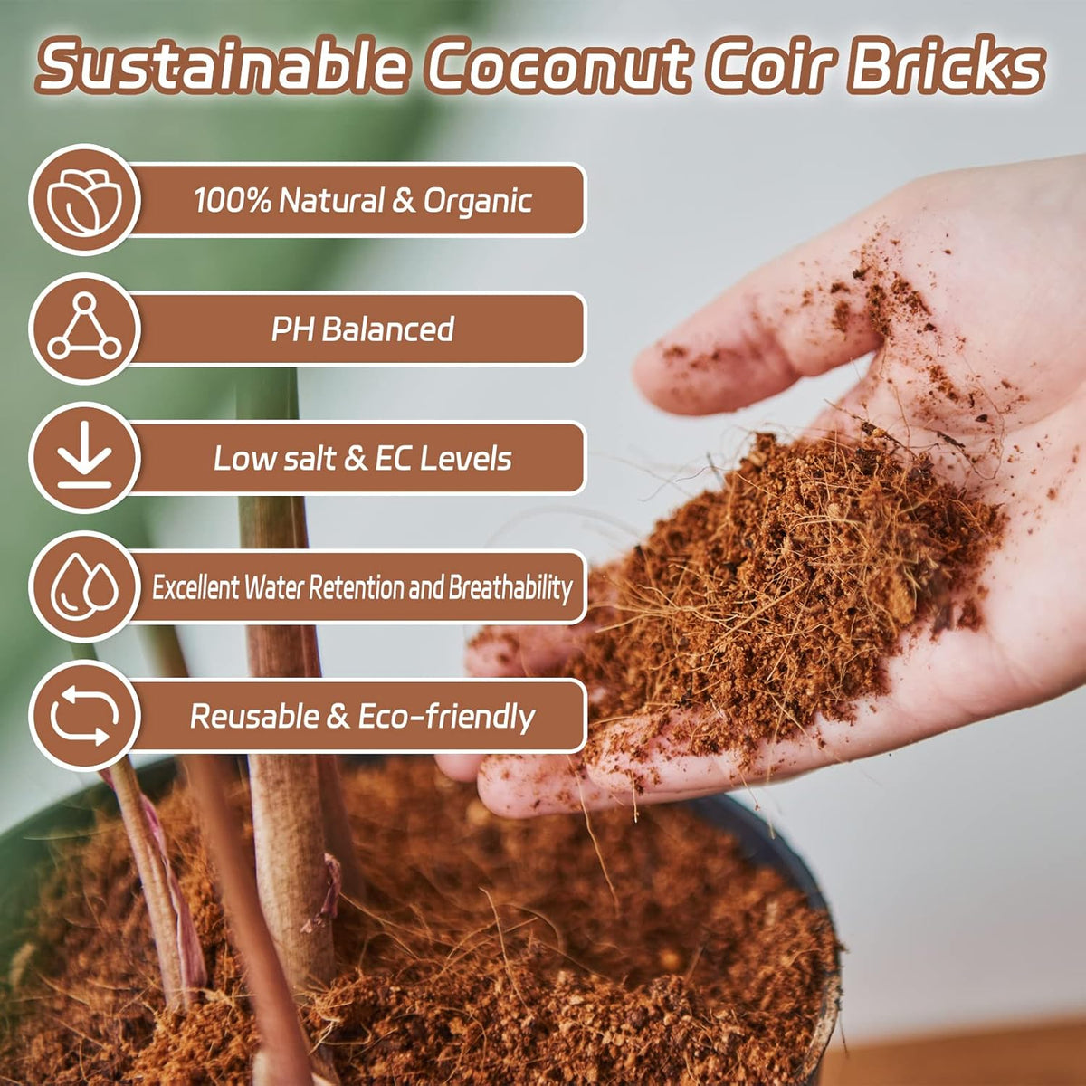 Riare 8pcs Organic Coco Coir Bricks Soil Blocks- 100% Natural Compressed Coco Peat Brick Coconut