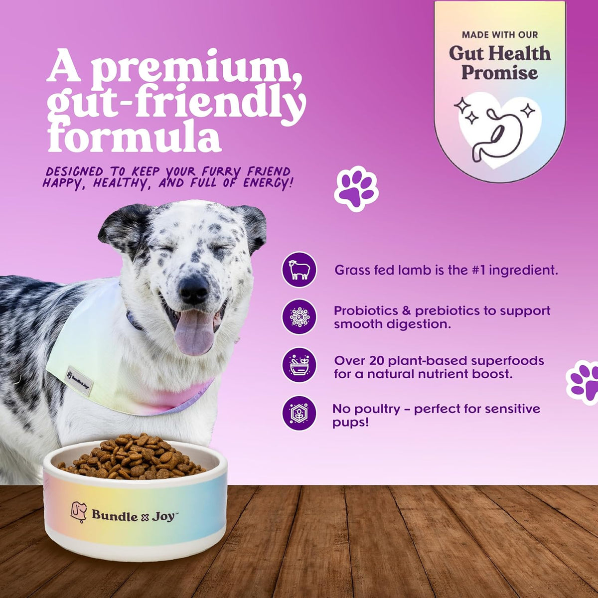 Brave Probiotic Dog Food Dry, Lamb, 18lb Bag, Natural Grain Free Adult Kibble for Digestive Health