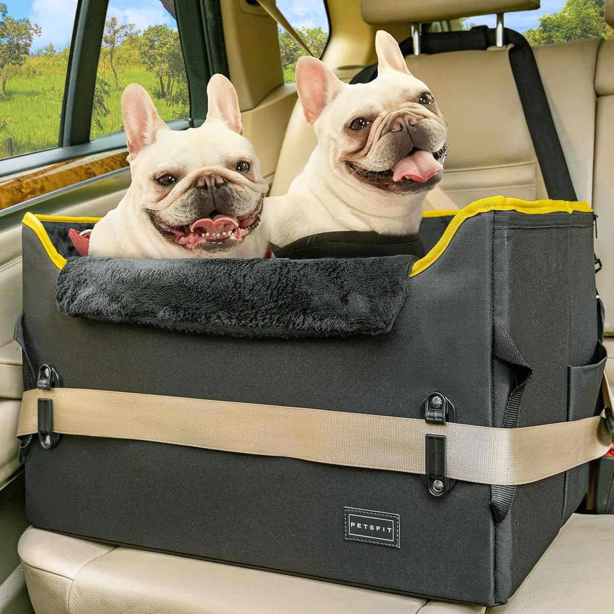 PETSFIT Dog Booster Car Seat, Dog Car Seats for Medium Sized Dogs or 2 Small Pets with 2 Safety