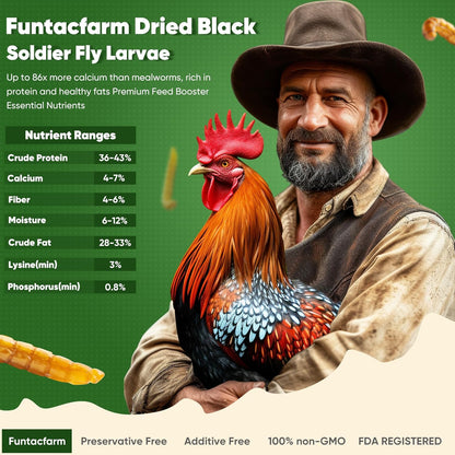 2LB Dried Black Soldier Fly Larvae for Chicken, Dried Mealworms Premium Grade High Protein Chicken