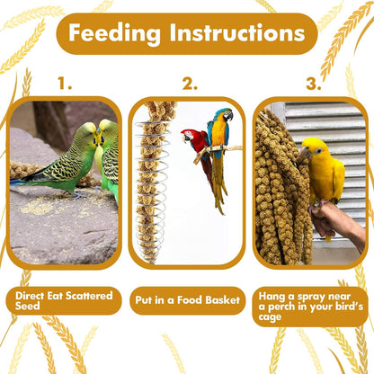 Jmxu's 2LB Spray Millet Treat for Birds Parakeets, Natural Sun-Dried Birds Millet for Cockatiel