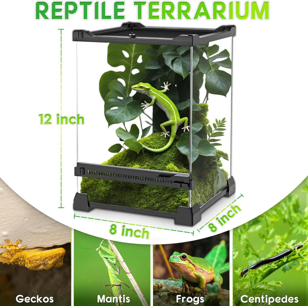 Mini Reptile Glass Terrarium 8"x8"x12" Durable Reptile Habitat Tank with Heat Resistant Aluminum