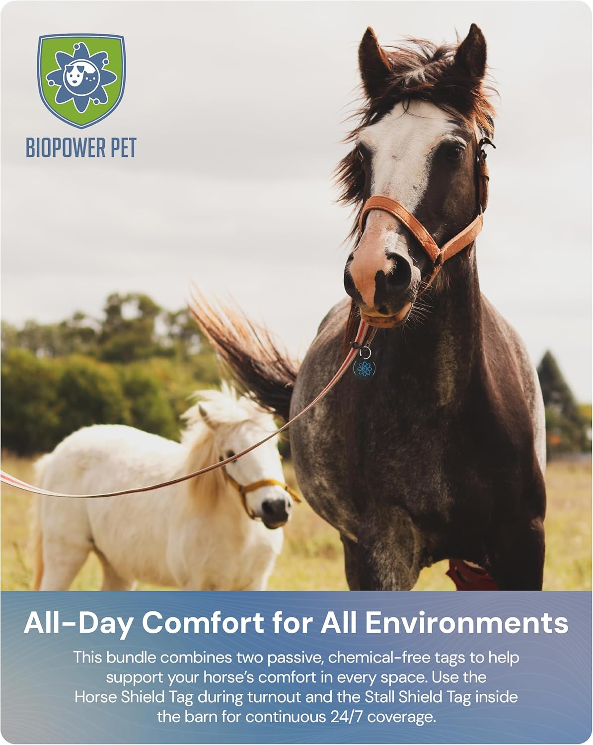BioPower Natural Fly & Tick Repellent for Horses - Horse Shield and Stall Tags with 1-Year