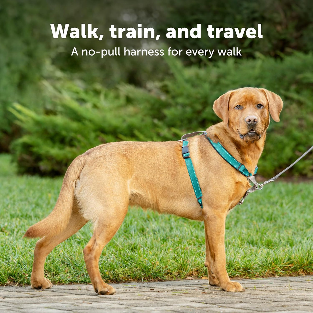 PetSafe 3 in 1 Dog Harness - No Pull Solution for Dogs - Reflective Dog Harness - Front D-Ring Clip