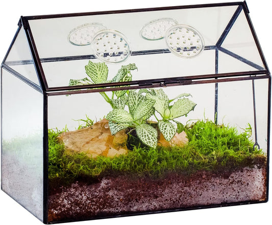 NCYP Glass Terrarium with Lid and Air Holes for Snails, Succulents Plants, Small Cactus - 10.2" x