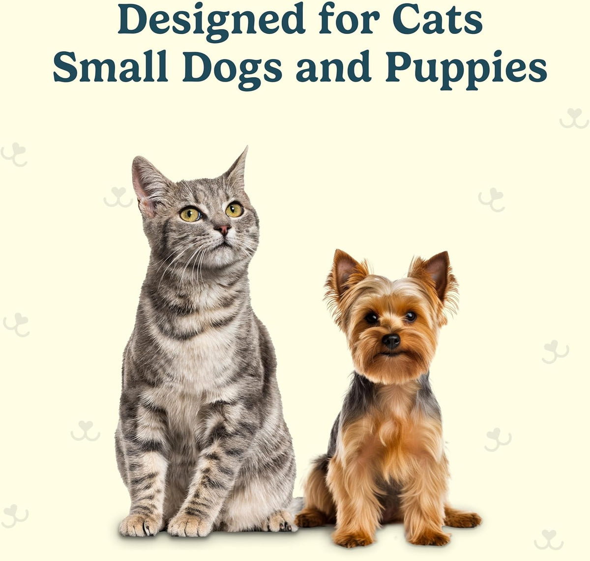 Jasper Microbrush Cat Toothbrush, Soft-Bristled Toothbrush Kit for Felines & Small Dogs, Non-Slip