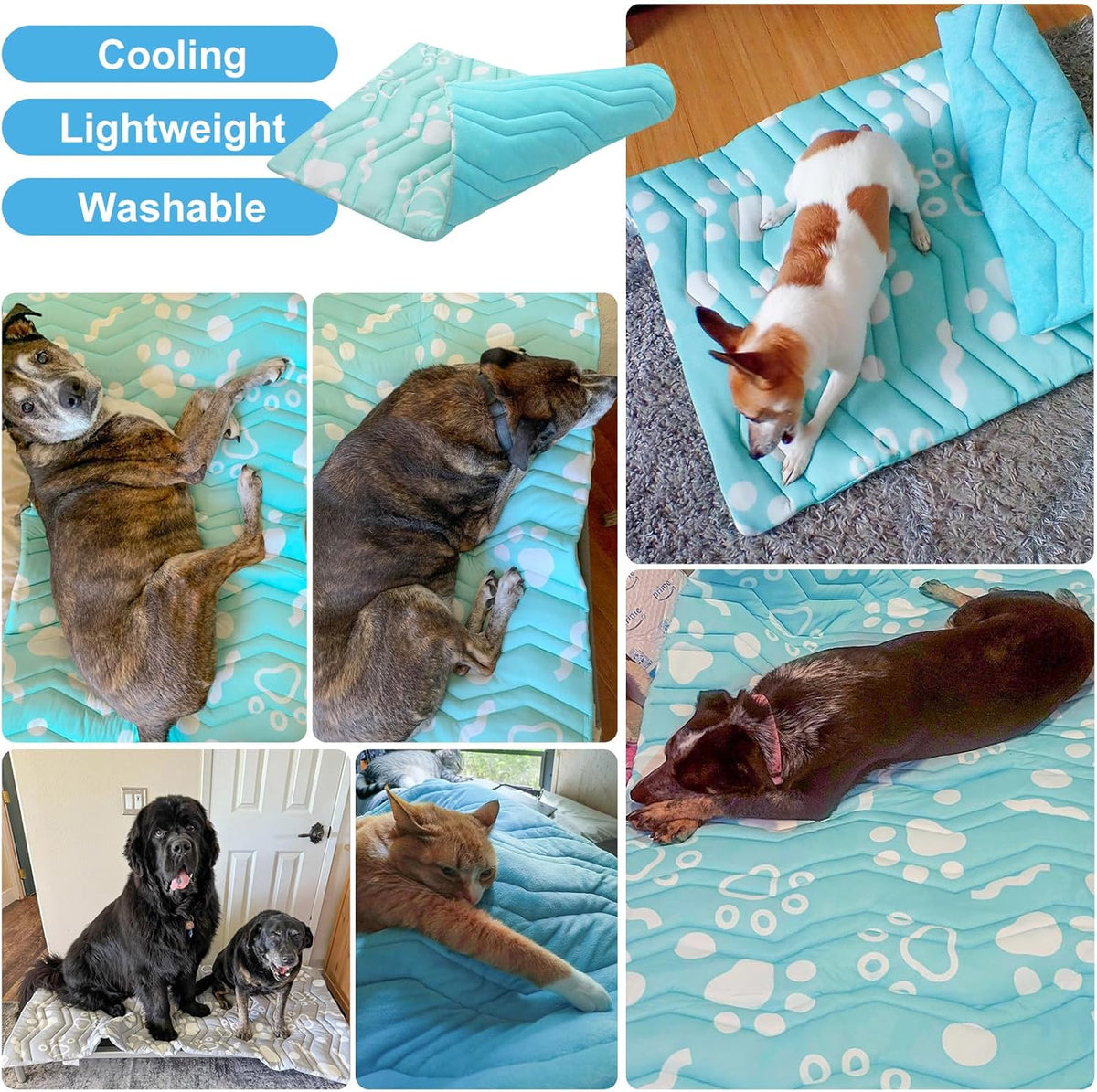 BEAUTYZOO Upgrade Dog Cooling Mat Extra Large, Reversible Self-Cooling Mat for Dogs, Thicken Pet