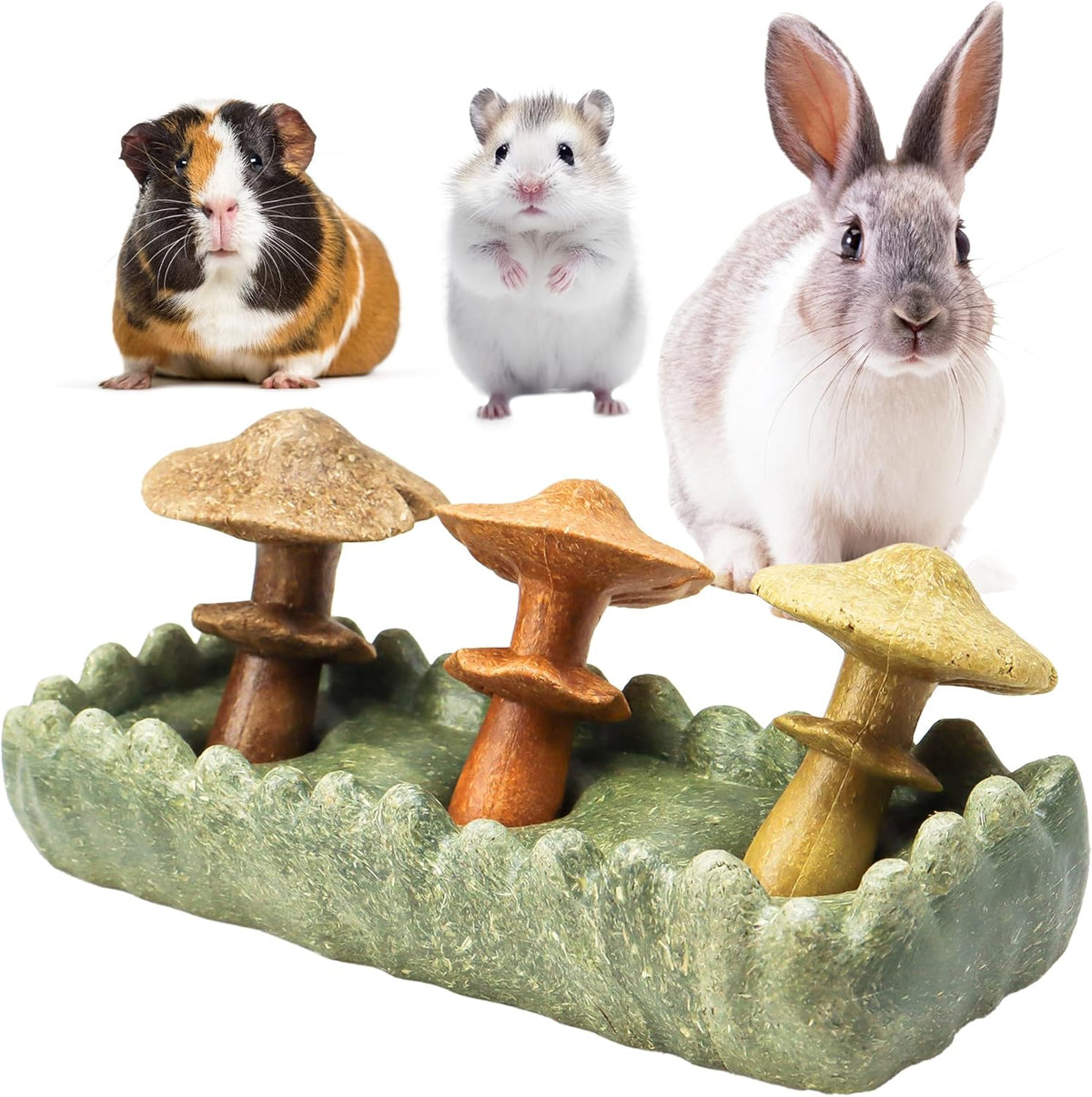 TEEWY 4PCS Guinea Pig Chew Toys, Prevent Teeth Overgrowth, Natural Vegetables and Timothy Grass