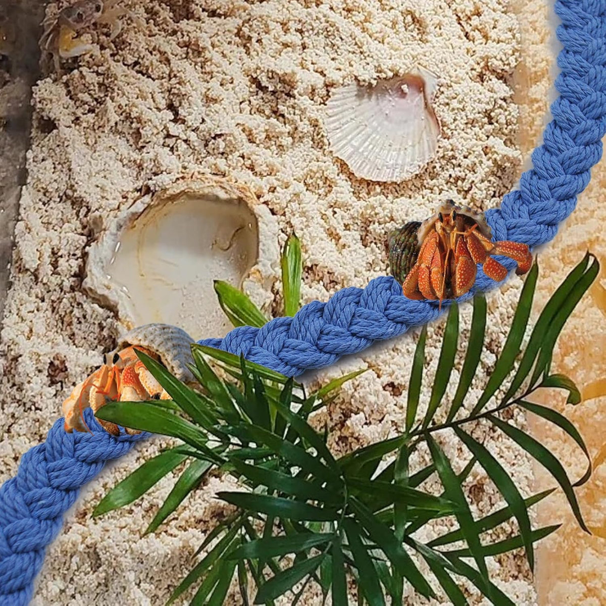 2PCS Hermit Crab Climbing Toys,Hermit Crab Rope Ladder Decor Reptile Hanging Vines Toys Hermit Crab