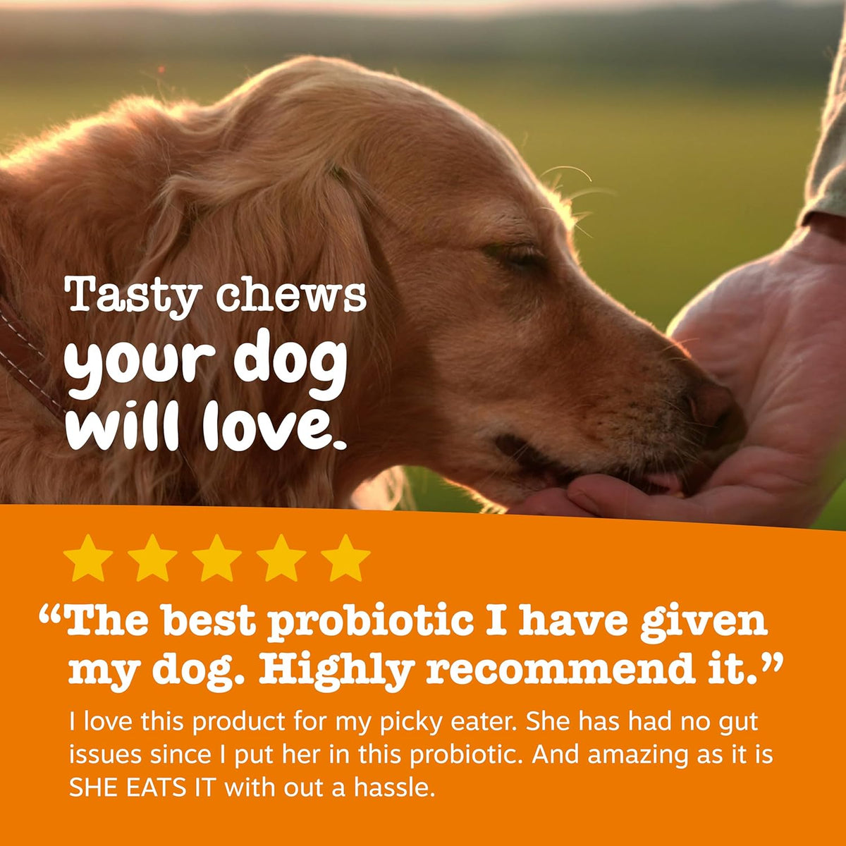 Zesty Paws Probiotics for Dogs - Digestive Enzymes for Gut Flora, Digestive Health, Diarrhea &