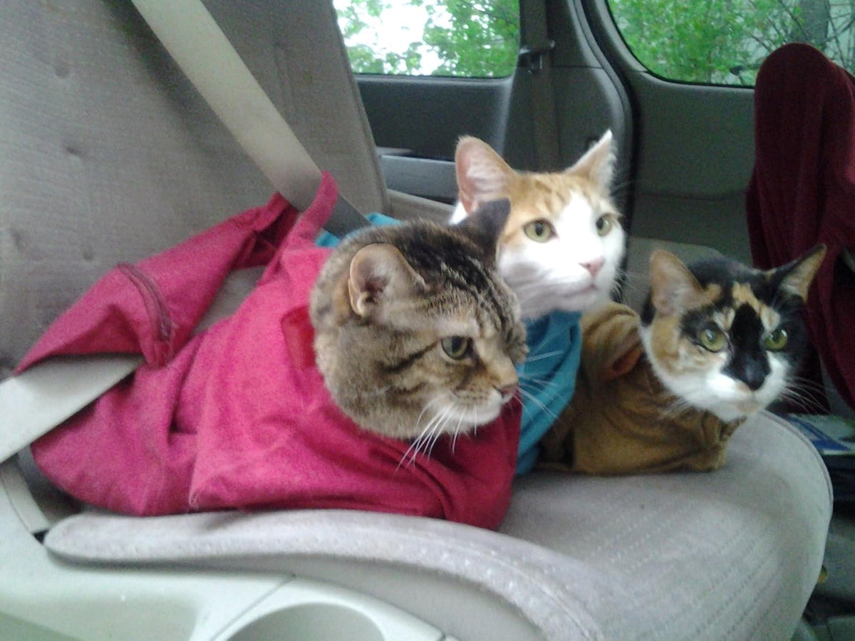 Cozy Comfort Carrier - Small Lavender Cat Carrier Soft, Cat Restraint Bag and Cat Sling Carrier for