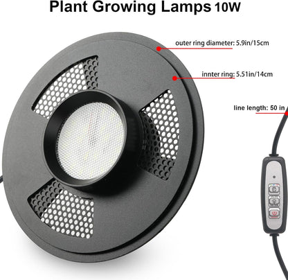 Desktop Glass Plant Terrarium with Grow Light(L7.8 W7.8 H14), for Succulent, Moss, Miniature
