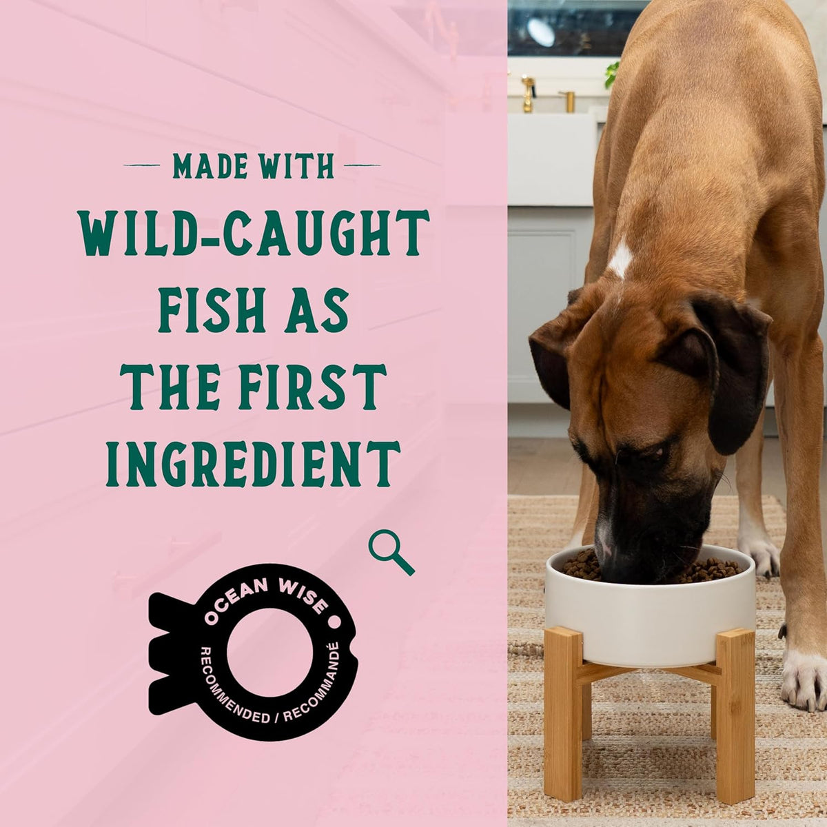 Open Farm Goodbowl, Oven-Baked Small Batch Dry Dog Food - Wild Caught Salmon & Brown Rice Recipe