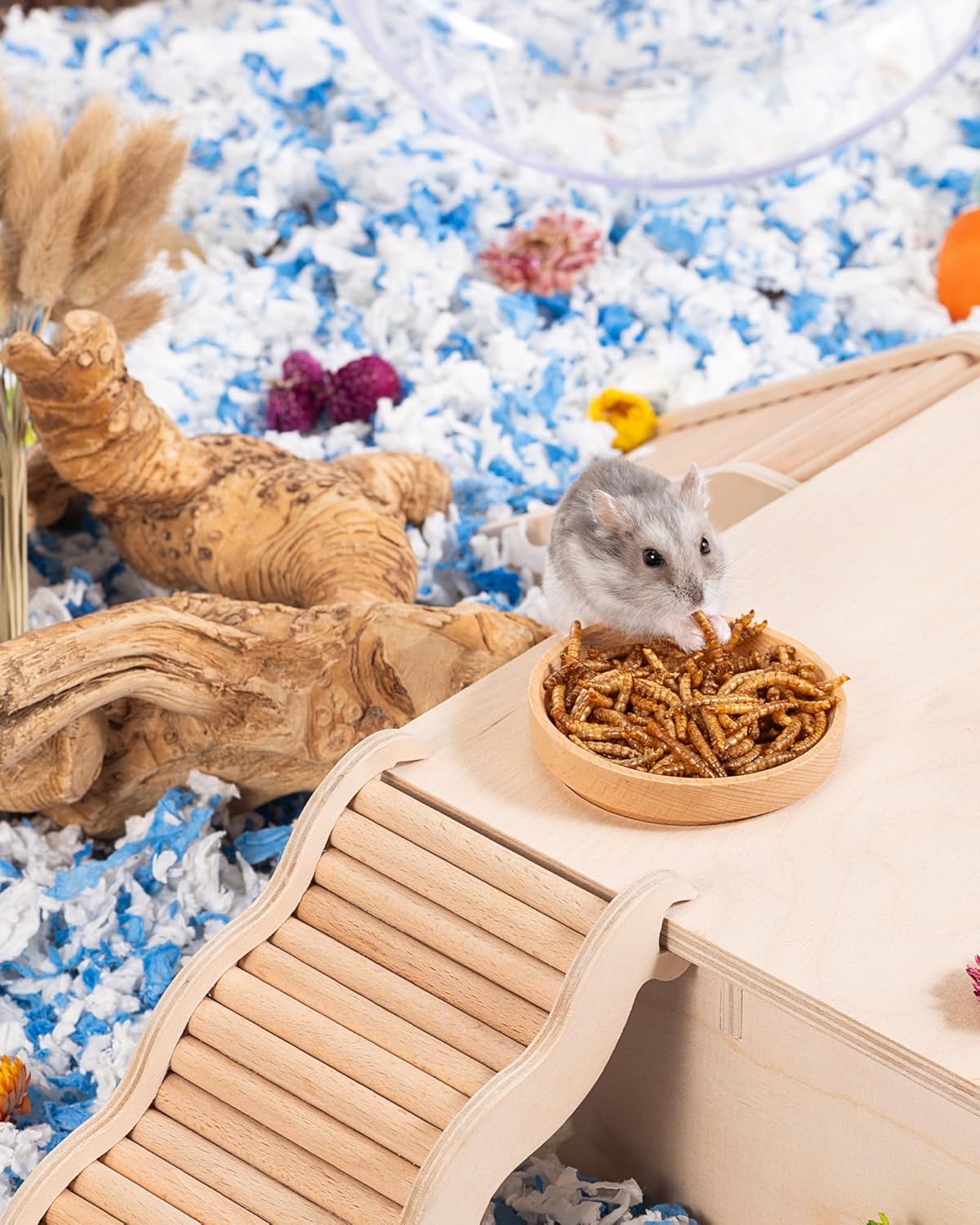 Niteangel Small Animal Snack & Treats - Small Critter Natural Treat for Dwarf Syrian Hamsters