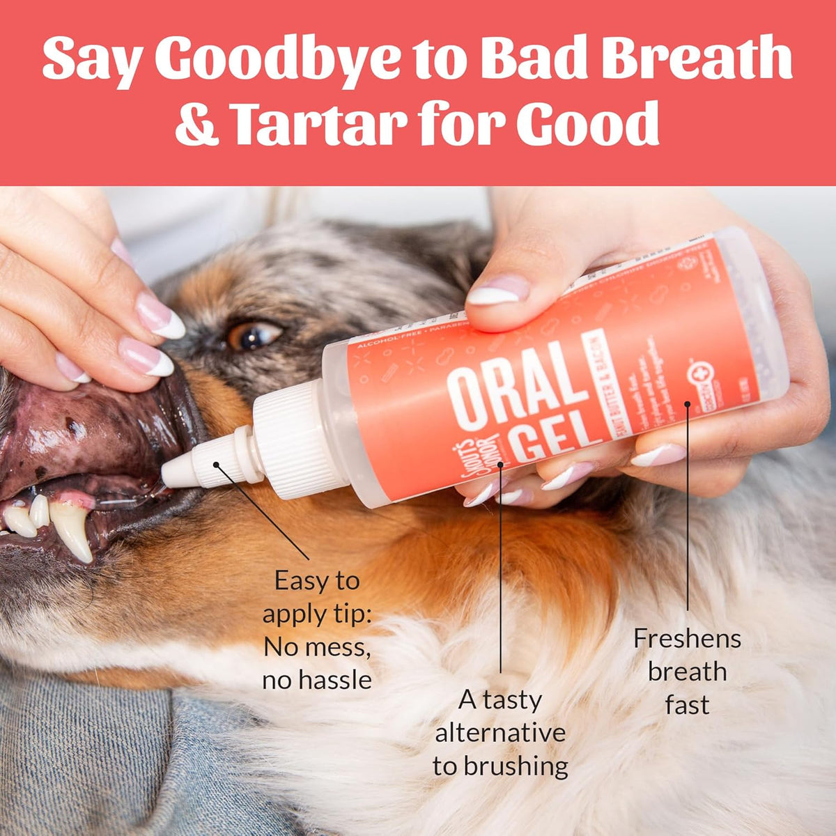 SKOUT'S HONOR Peanut Butter & Bacon Oral Gel - Fights Plaque and Tartar, Freshens Breath Fast, No