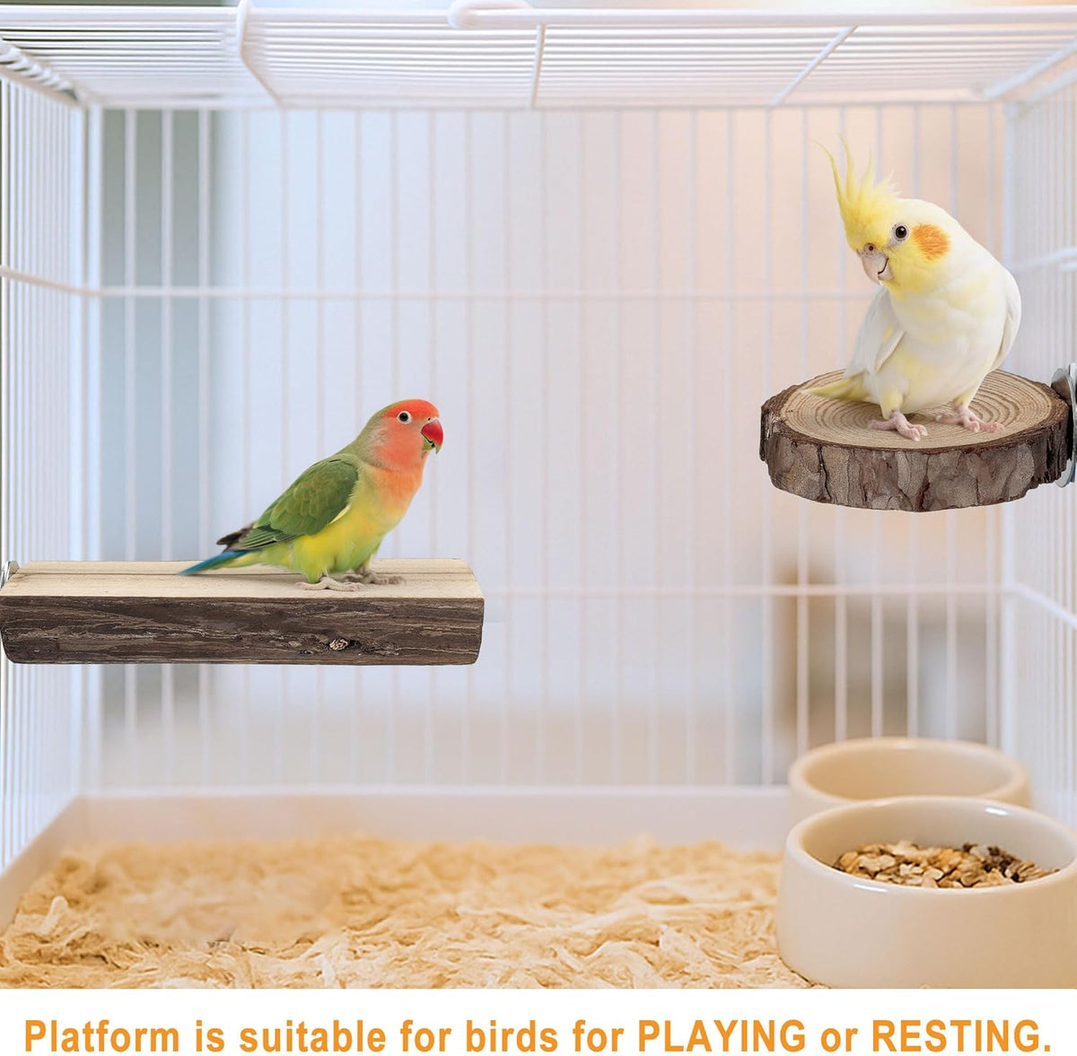 7PCS Bird Perches, Natural Wood Parrot Perch Stand, Bird Perch Chewing Stick Cage Accessories