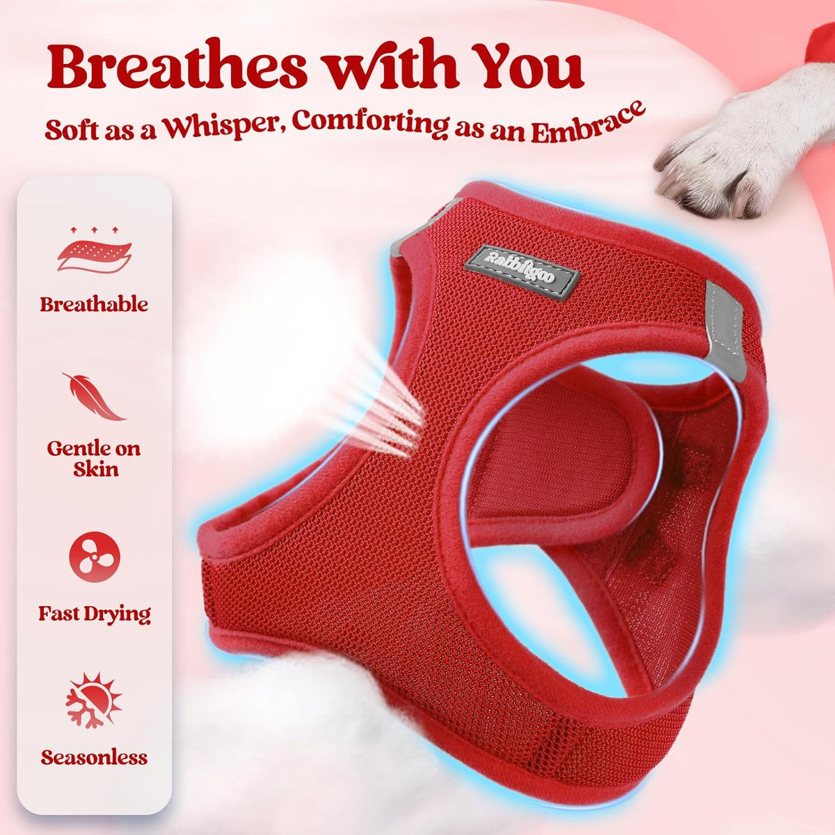 rabbitgoo Dog Harness Small Sized and Leash Set, Step in Soft Light Puppy Vest, Breathable Mesh Pet